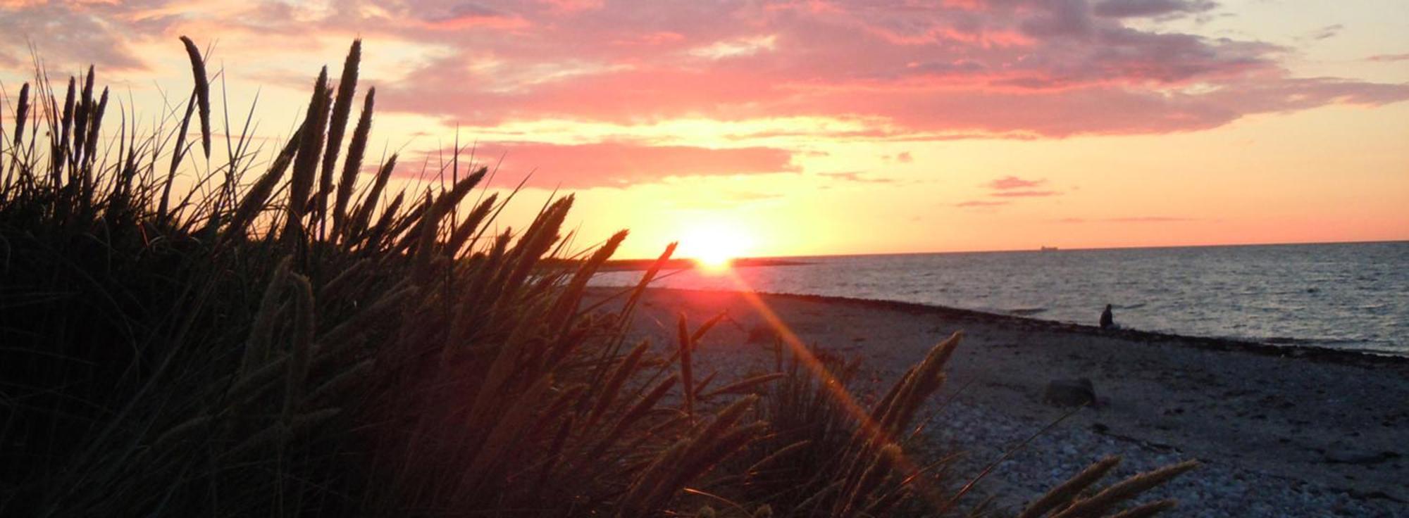 Ostsee Huus Burg auf Fehmarn Dış mekan fotoğraf
