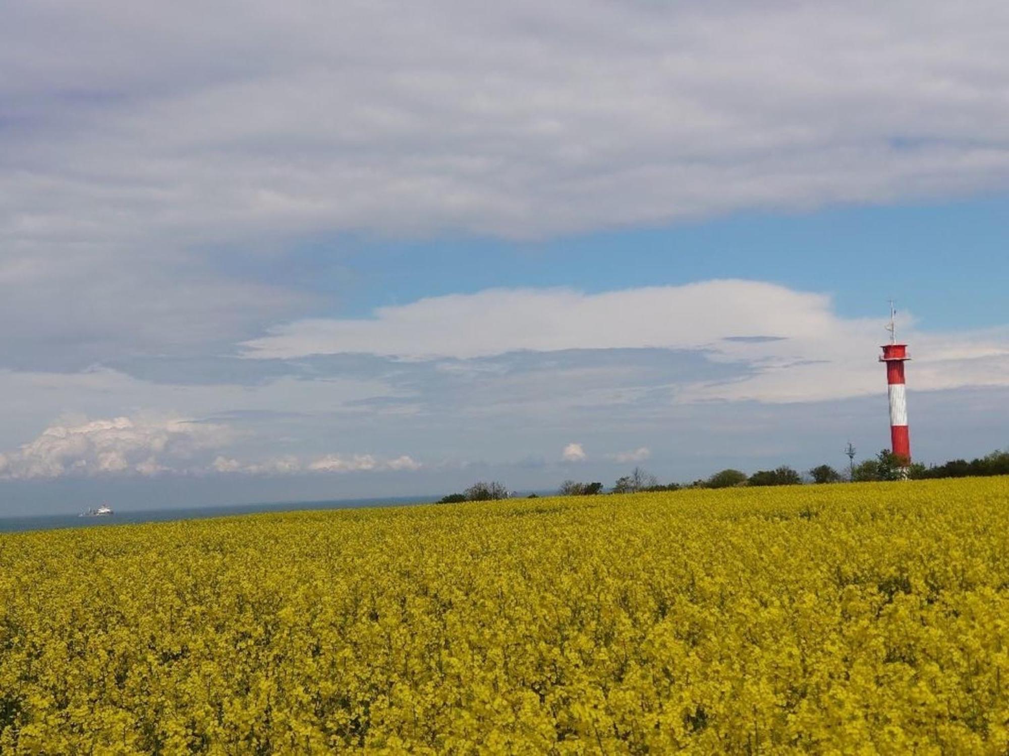 Ostsee Huus Burg auf Fehmarn Dış mekan fotoğraf